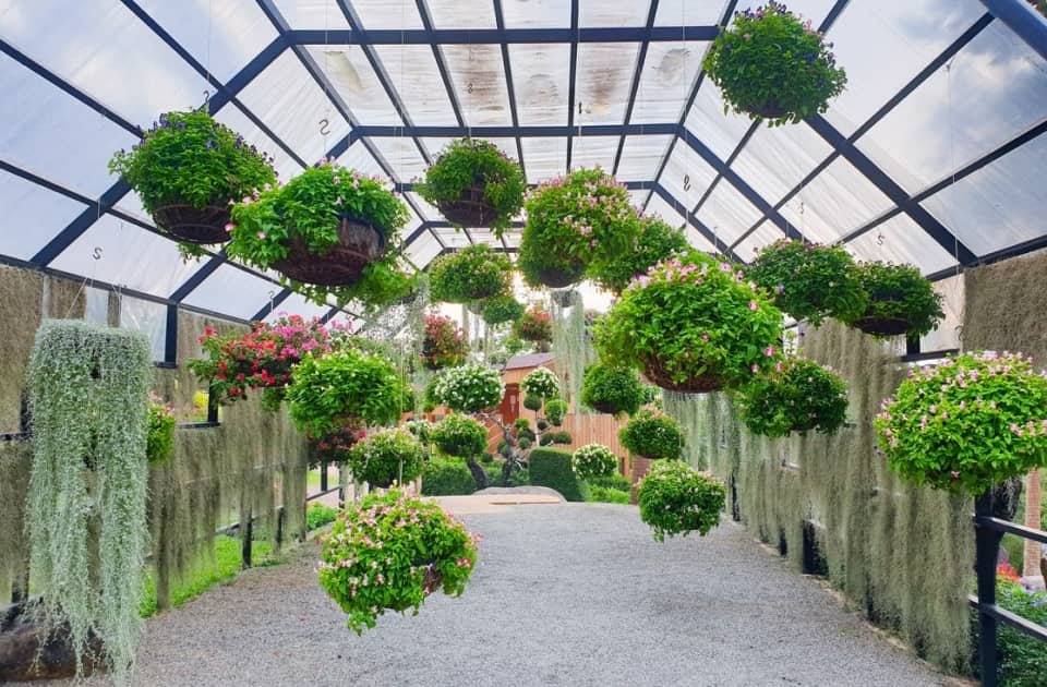 How to Manage a Home Garden