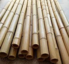 Bamboo Pole