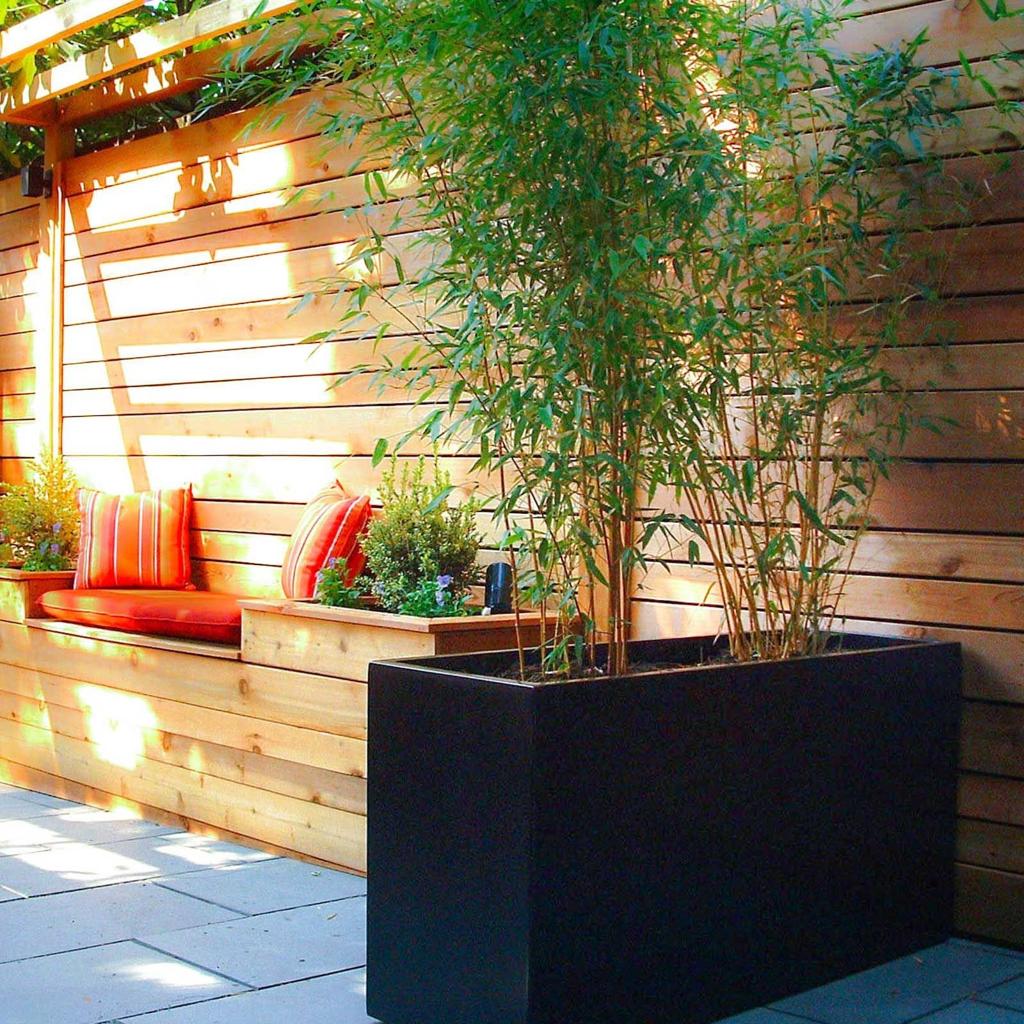 Mini Bamboo Pot