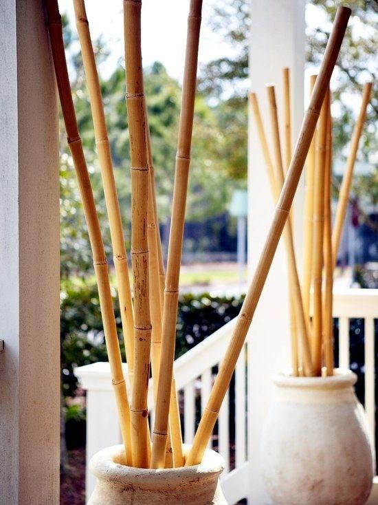 Mini Bamboo Pot
