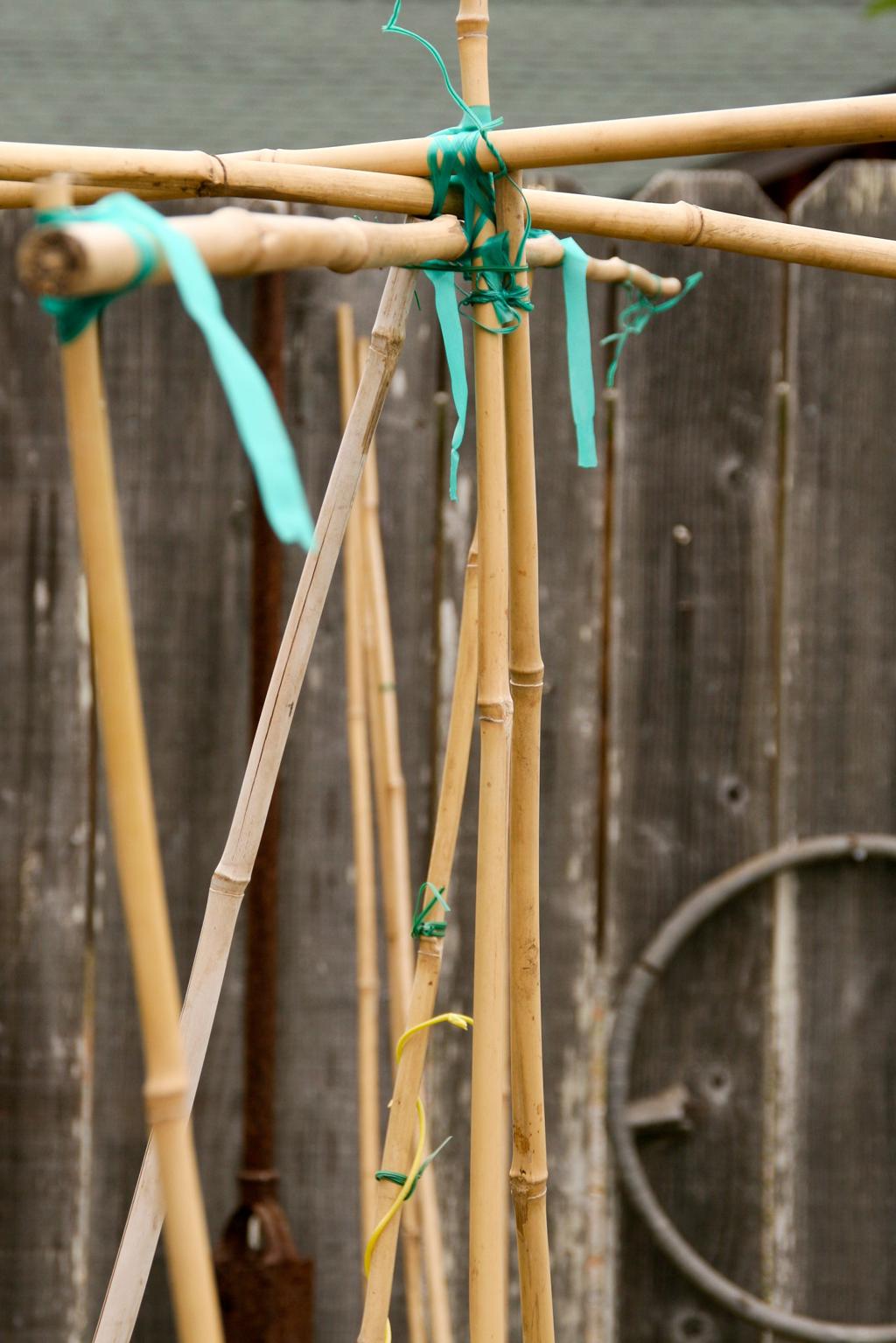 Mini Bamboo Pot