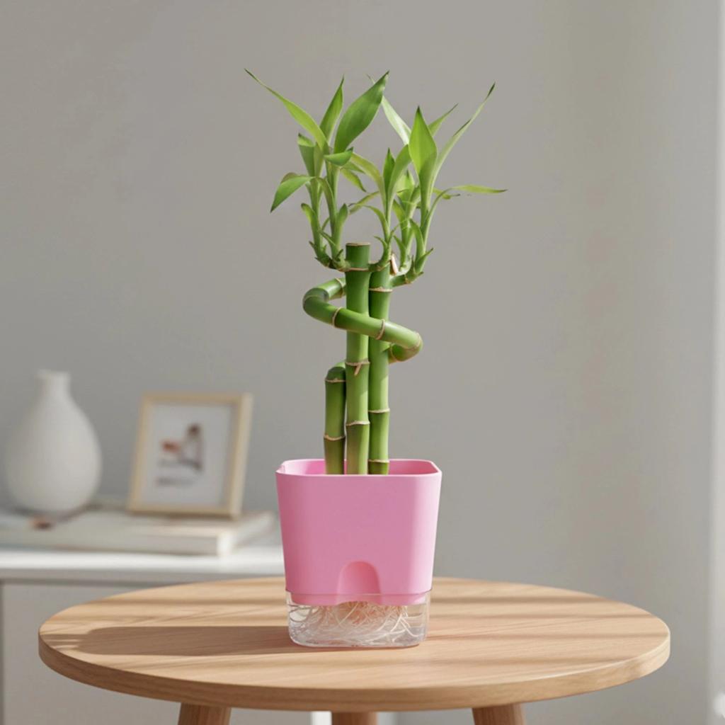 Mini Bamboo Pot